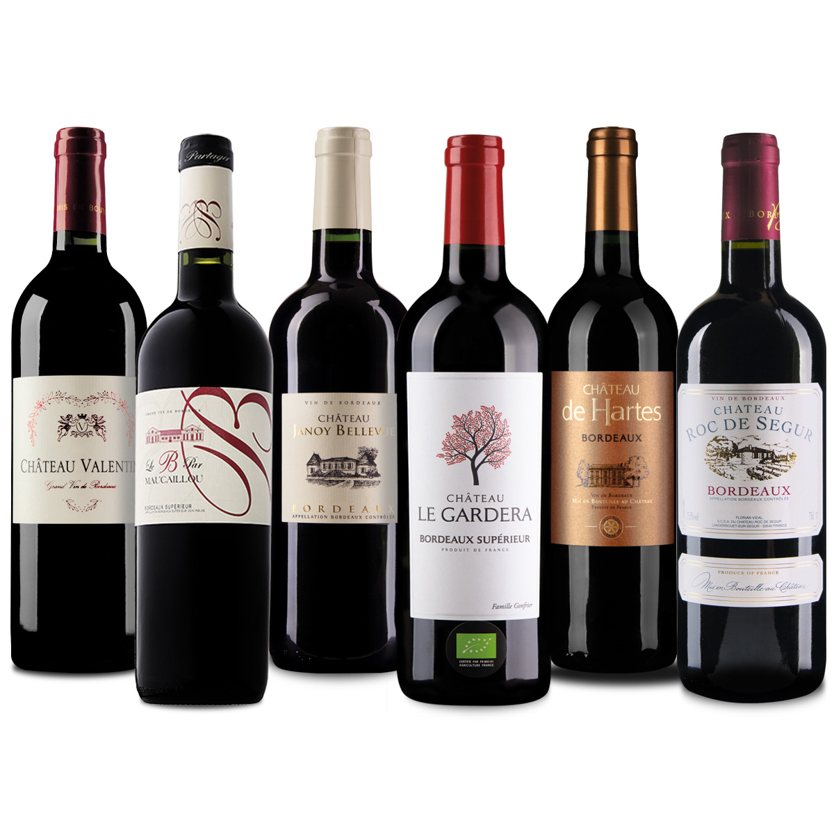 tasting pack of 6 entry-level Bordeaux