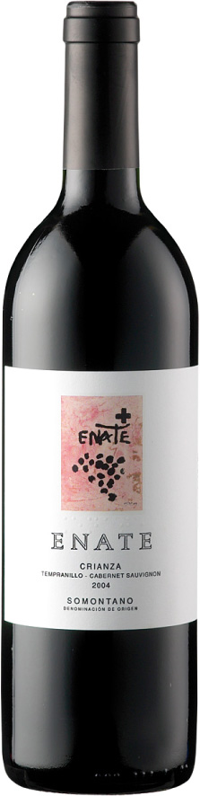 Enate Crianza DO