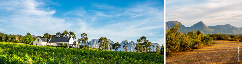 Diemersfontein Wine Diemersfontein Wine