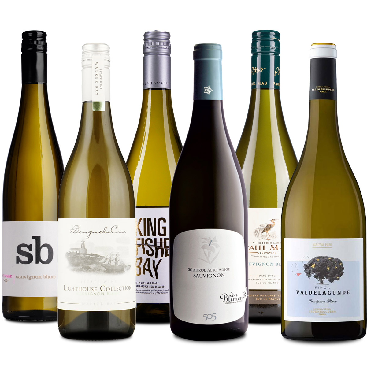 6er Probierpaket Sauvignon Blanc weltweit