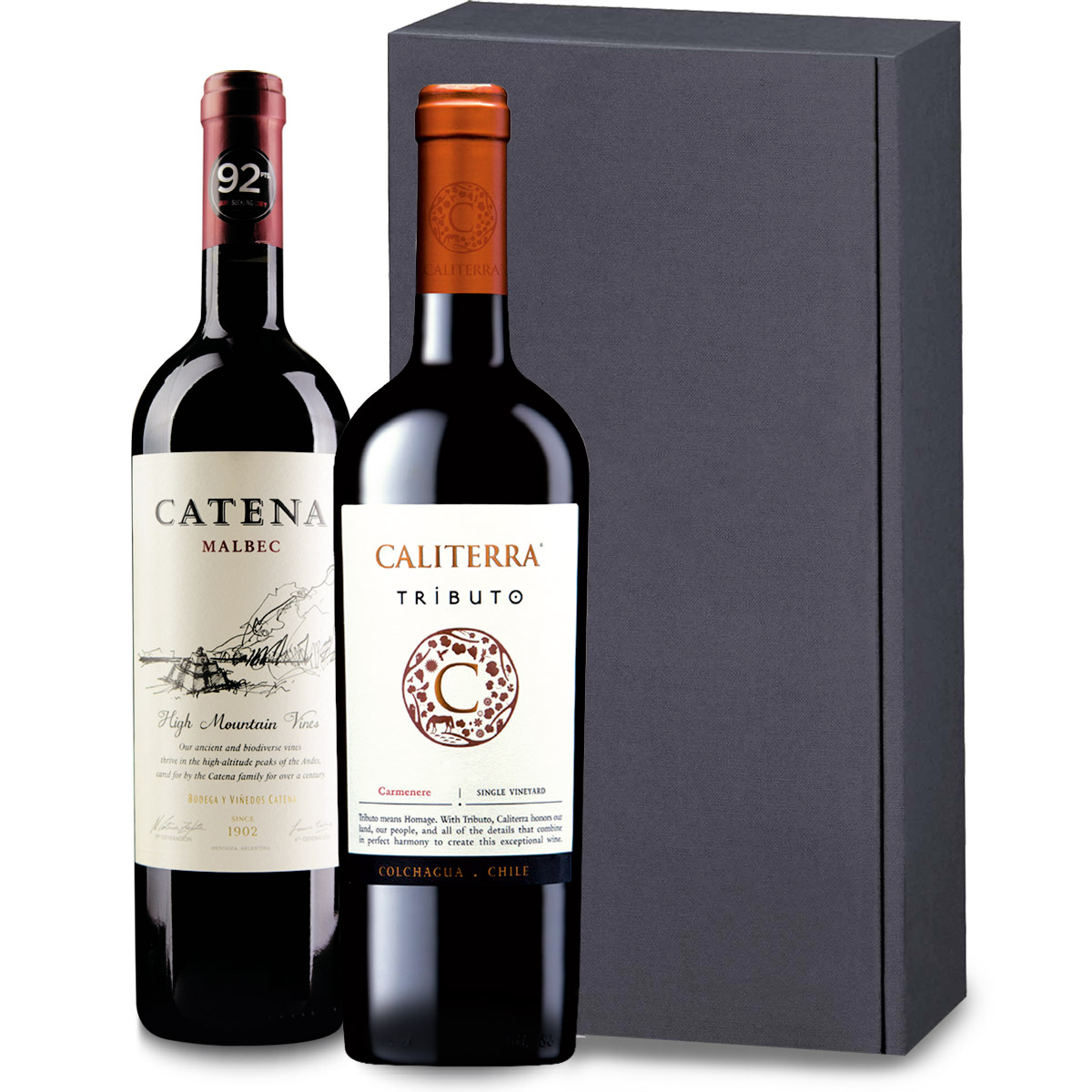 Malbec aus Argentinien – entdecken