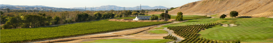 Wente Vineyards